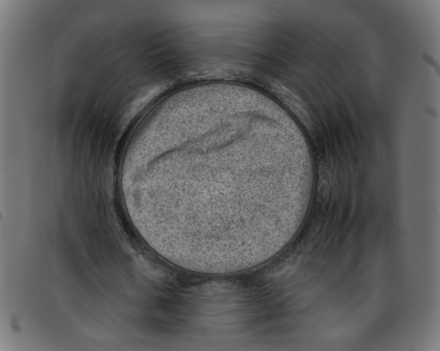 X0000096940578200803071008