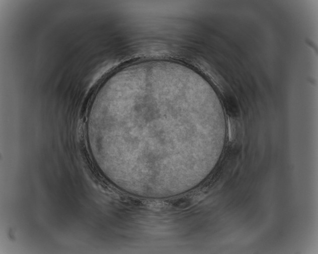 X0000096940579200803071008