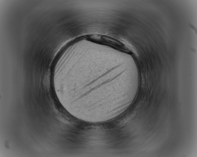 X0000096940580200803071008