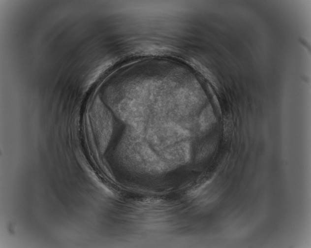 X0000096940581200803071008