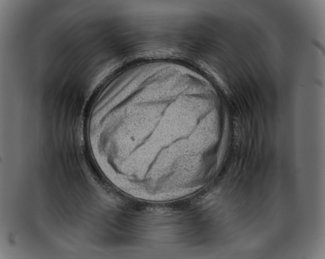 X0000096940582200803071008