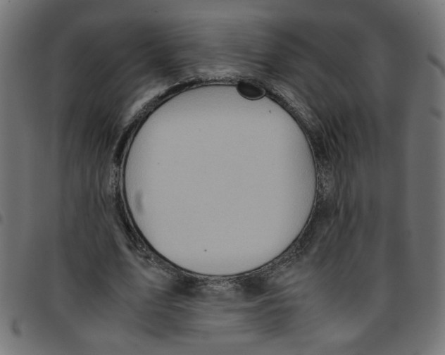 X0000096940583200803071008