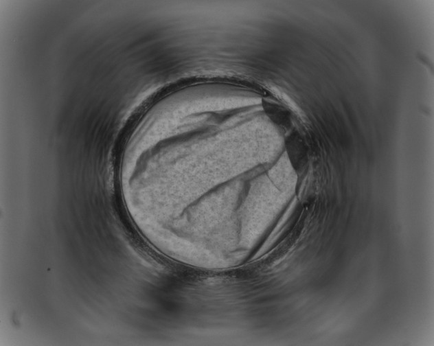 X0000096940584200803071008