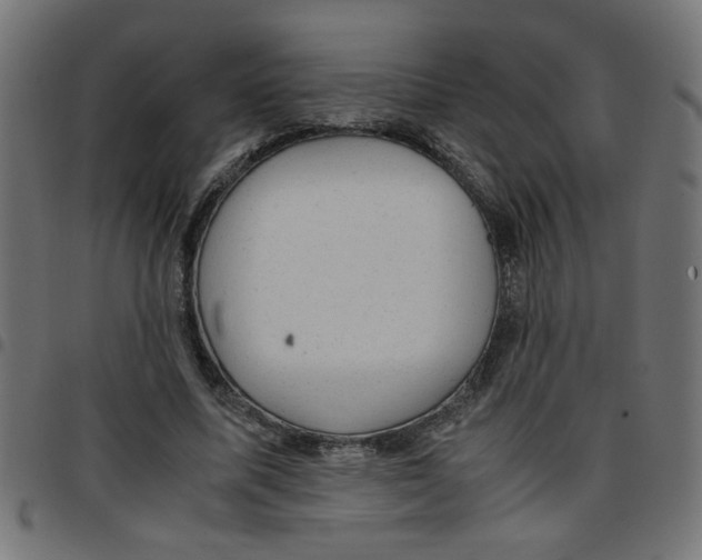 X0000096940587200803071008
