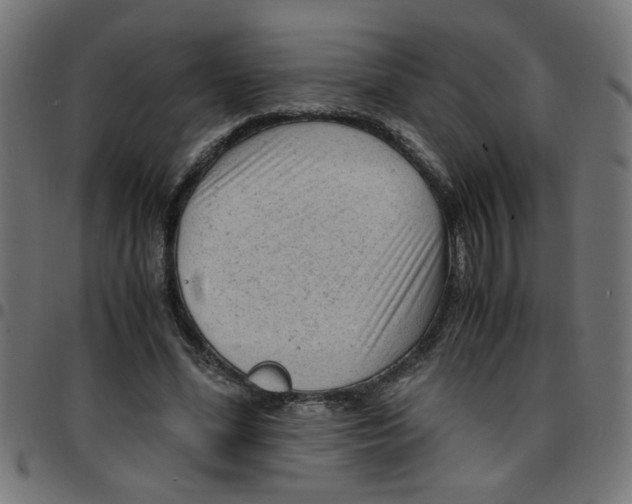 X0000096940588200803071008
