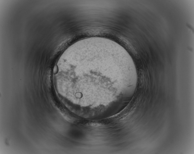 X0000096940590200803071008