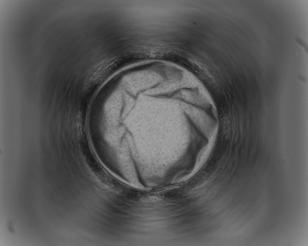 X0000096940594200803071008