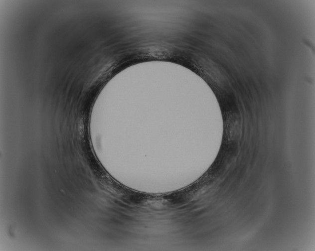 X0000096940595200803071008
