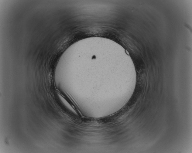 X0000096940597200803071008