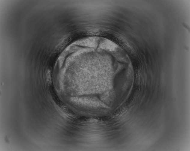 X0000096940598200803071008