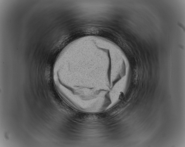 X0000096940600200803071008