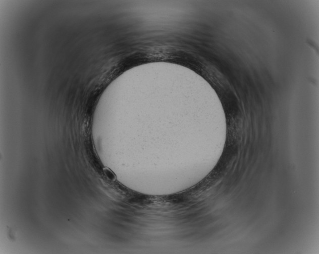 X0000096940601200803071008