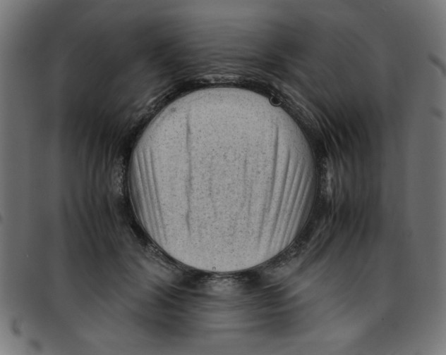 X0000096940604200803071007