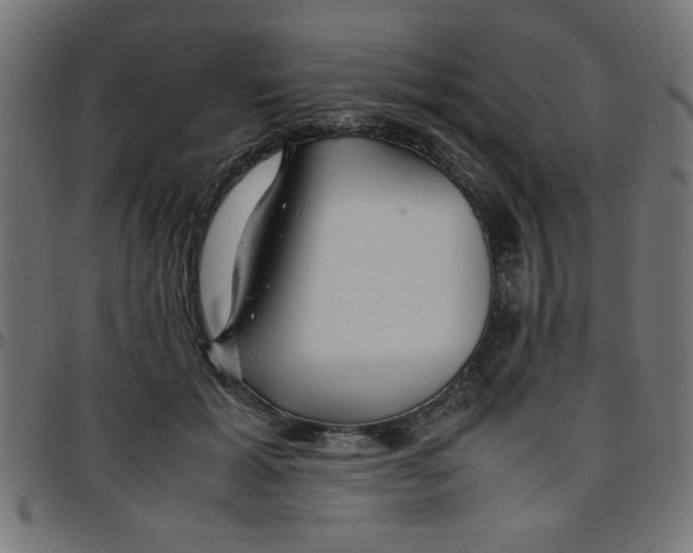 X0000096940605200803071007
