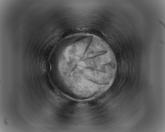 X0000096940606200803071007