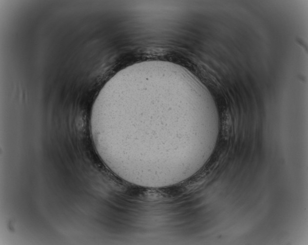 X0000096940608200803071007