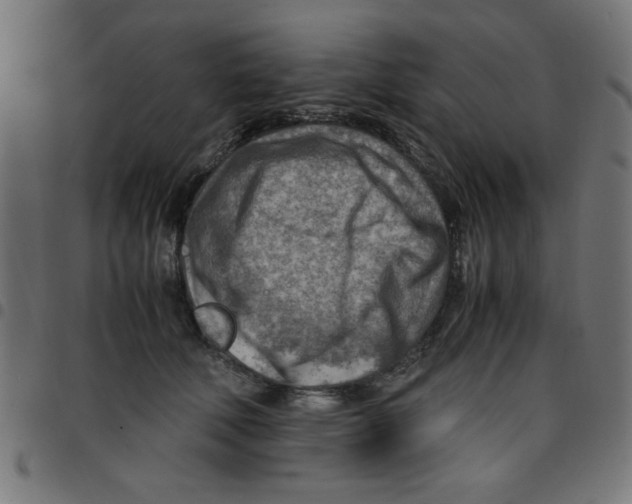 X0000096940610200803071007
