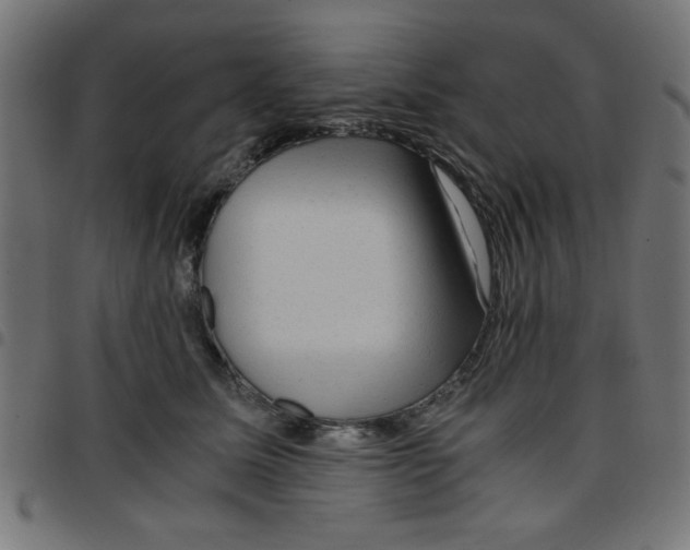 X0000096940611200803071007