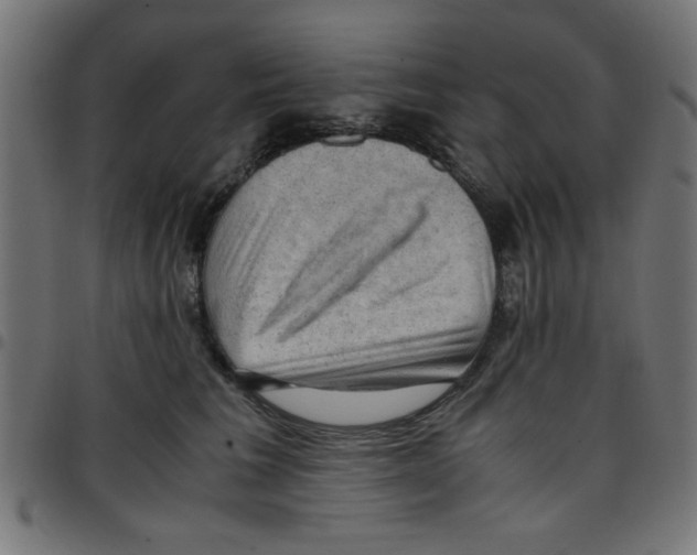 X0000096940613200803071007