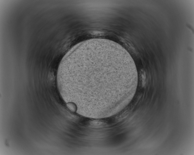 X0000096940614200803071007