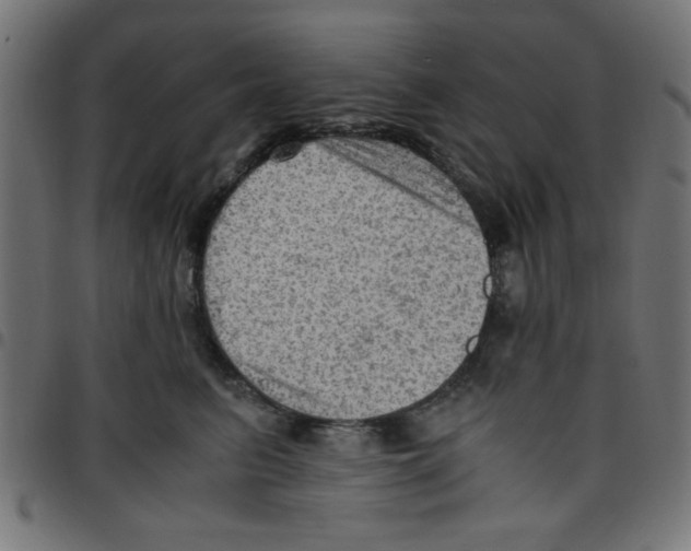 X0000096940615200803071007