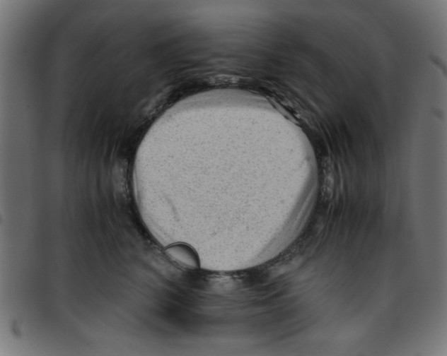X0000096940616200803071007