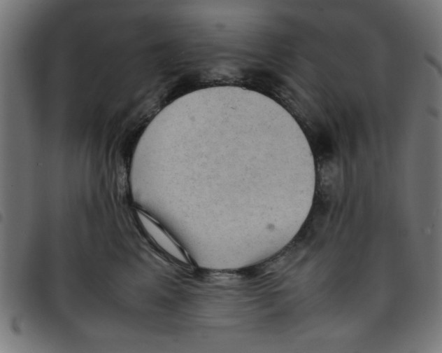 X0000096940617200803071007