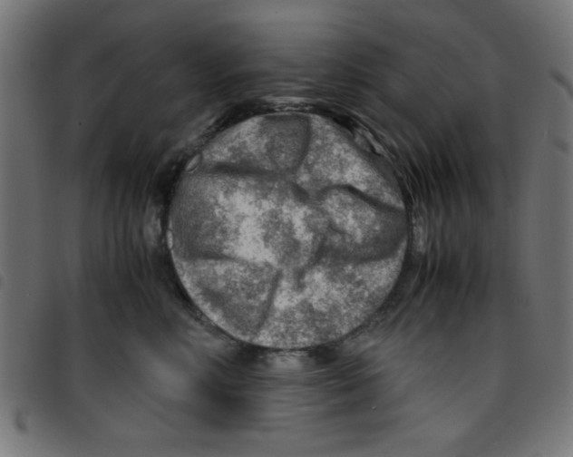 X0000096940618200803071007