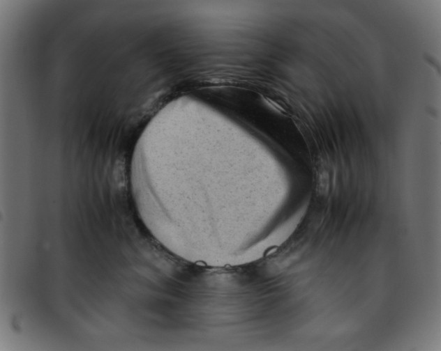 X0000096940620200803071007