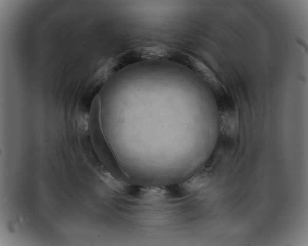 X0000096940621200803071007