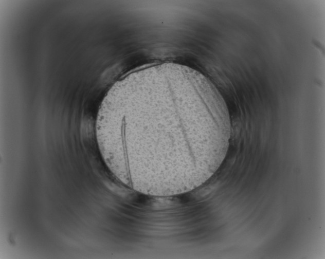 X0000096940623200803071007