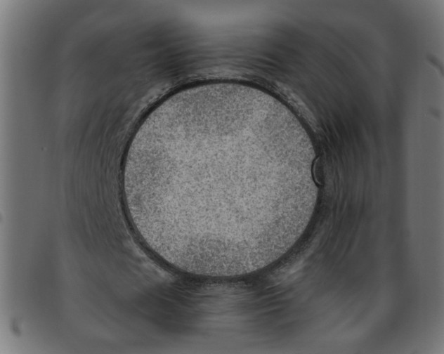 X0000096940625200803071007