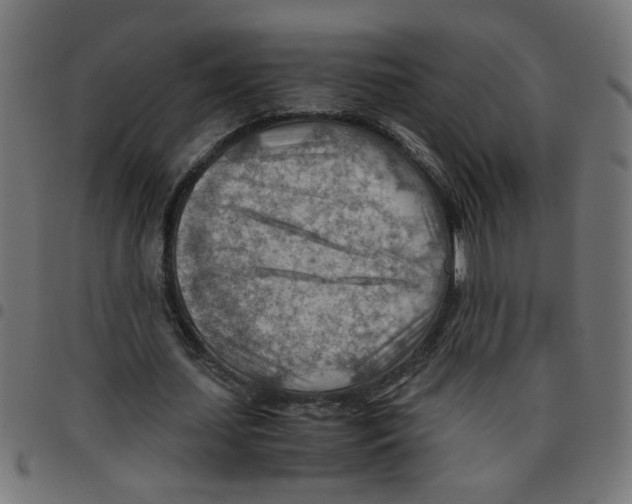 X0000096940627200803071007