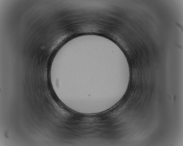 X0000096940629200803071007
