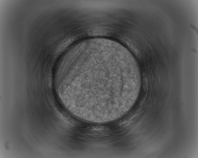 X0000096940631200803071007
