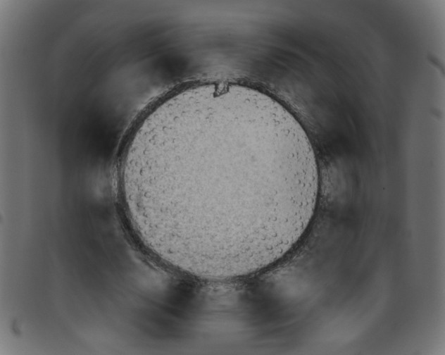 X0000096940632200803071007