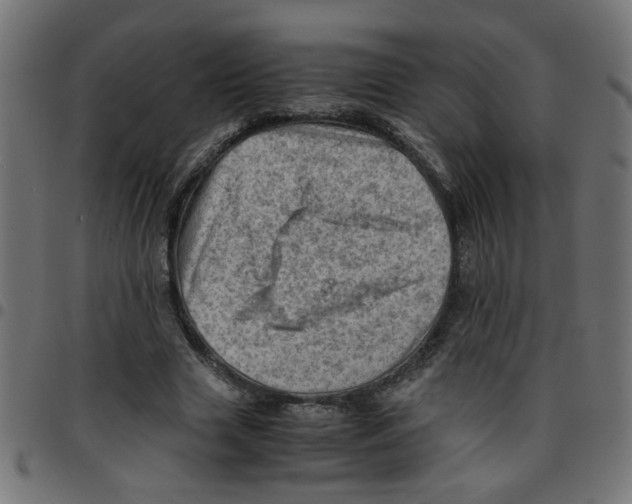 X0000096940633200803071007