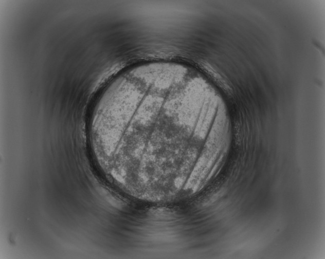 X0000096940634200803071007