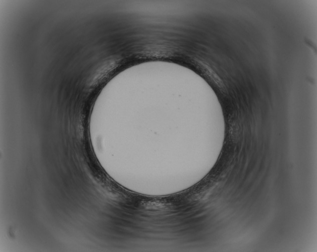 X0000096940635200803071007