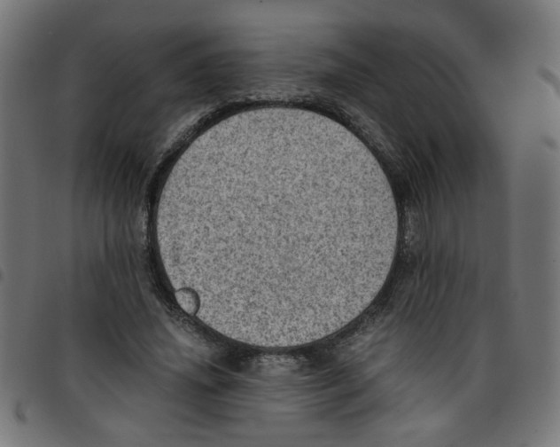 X0000096940636200803071007