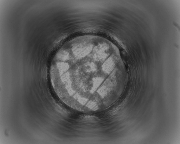 X0000096940637200803071007