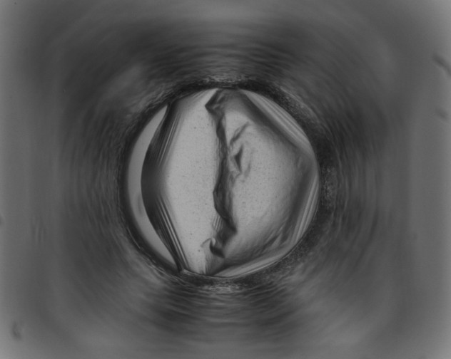 X0000096940639200803071007