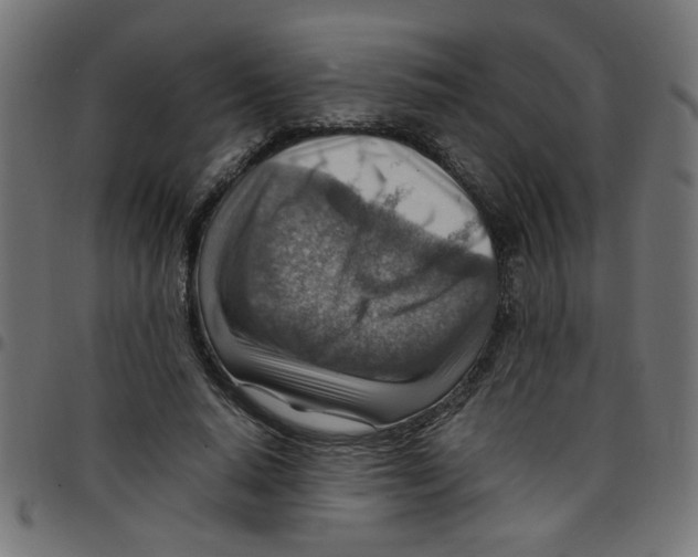 X0000096940640200803071007