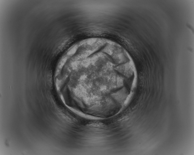 X0000096940642200803071007