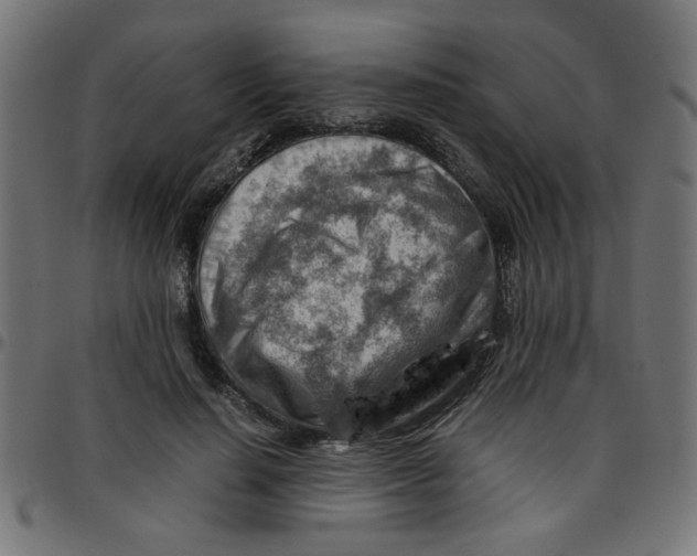 X0000096940644200803071007
