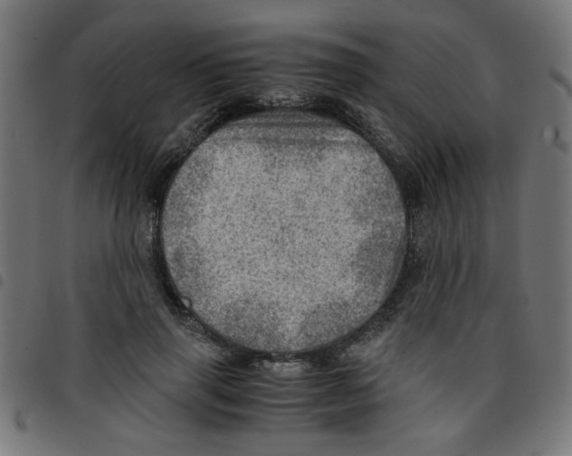 X0000096940645200803071007