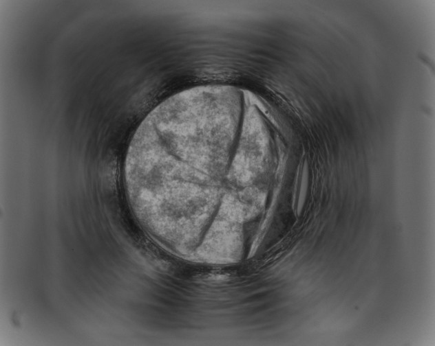X0000096940647200803071007