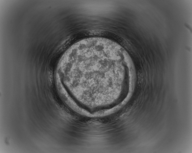 X0000096940648200803071007