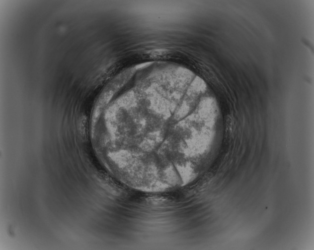 X0000096940650200803071007