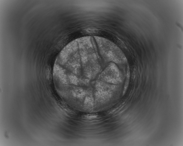 X0000096940651200803071007
